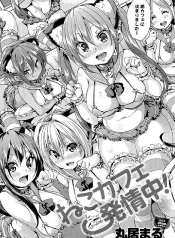 単話❤ねこカフェ発情中！（単話）｜丸居まる-評価4.80